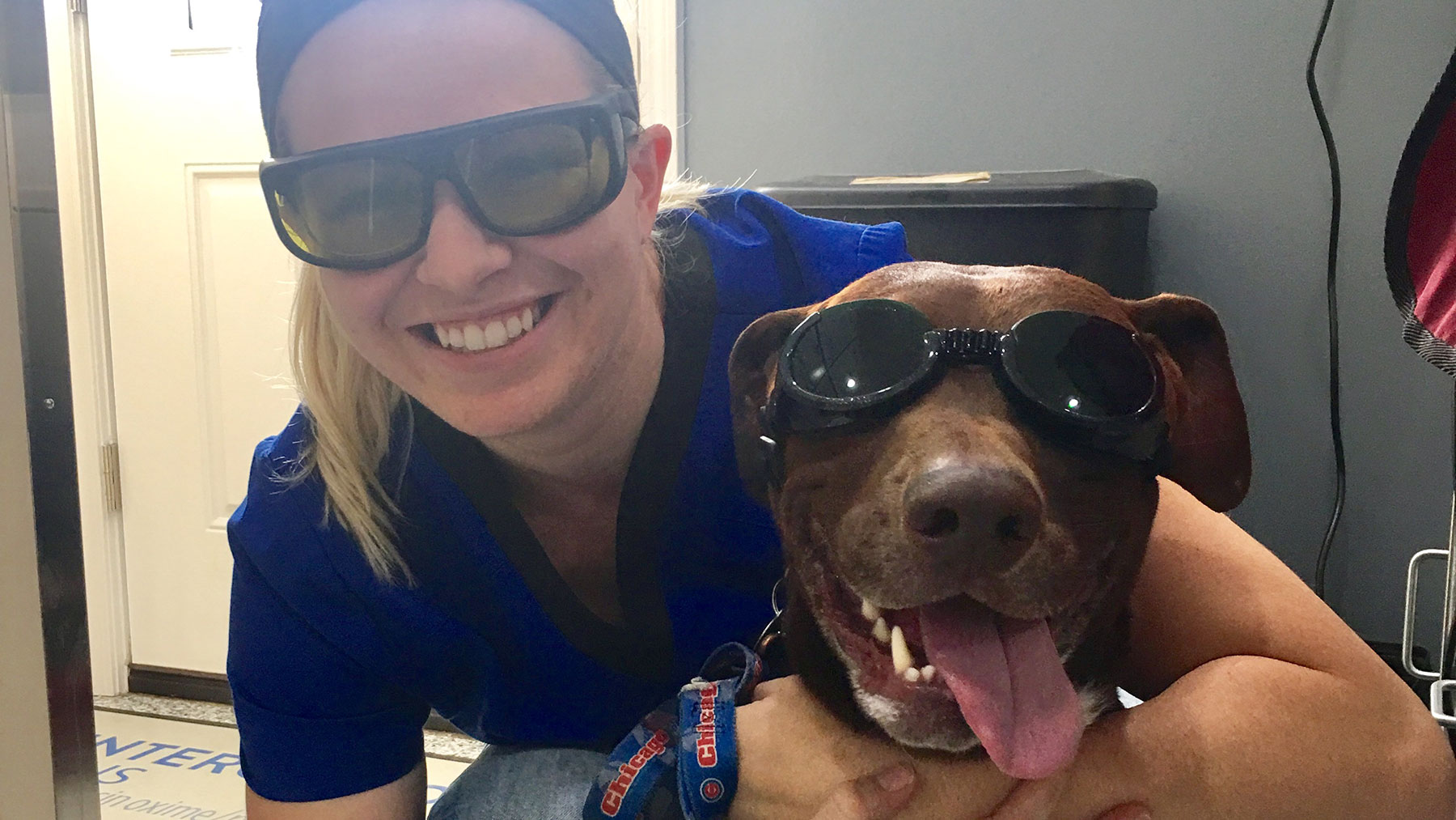 New Client Form Graham Veterinary Clinic