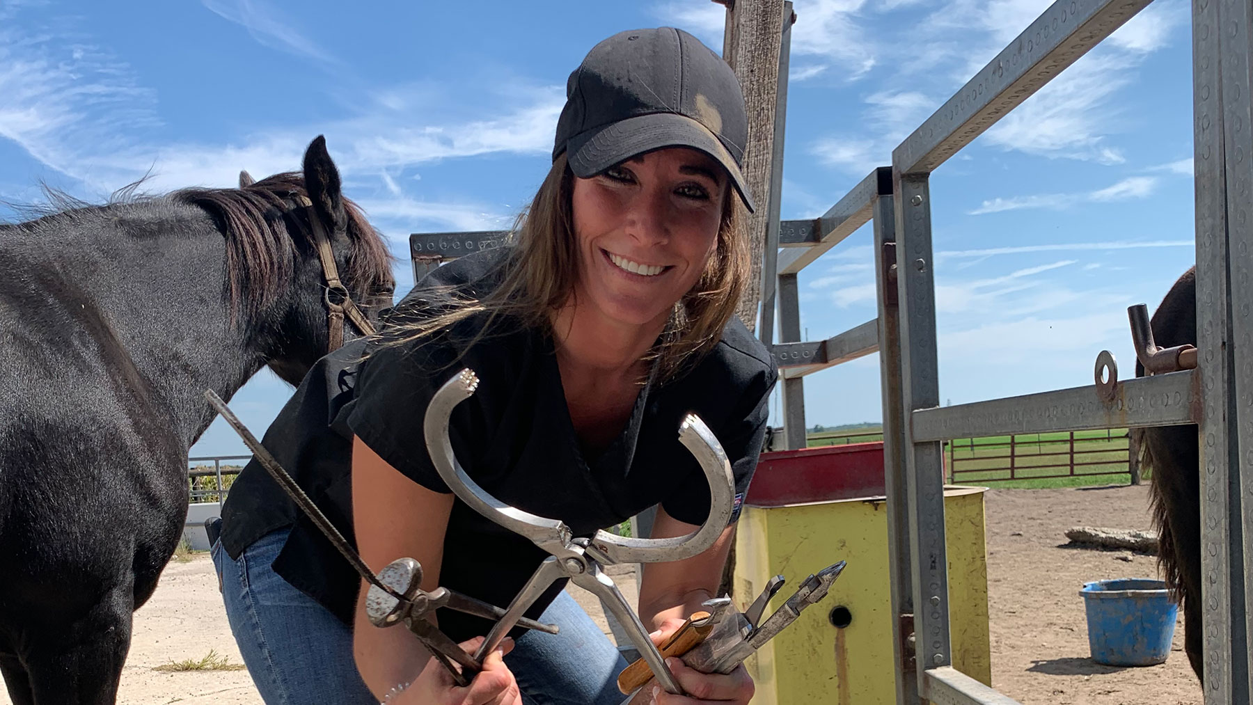 Veterinary FAQs Arthur, IL 61911 Graham Veterinary Clinic