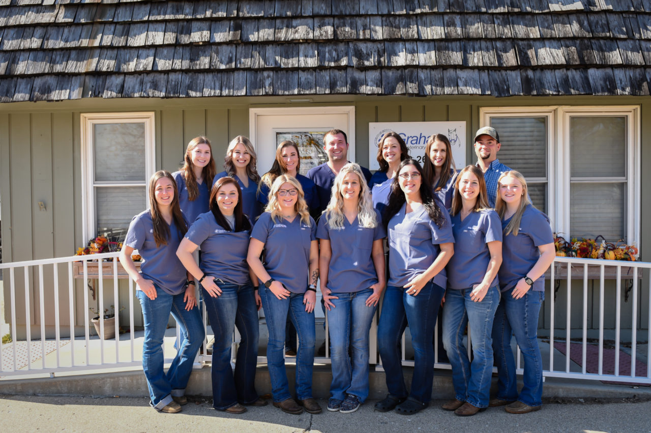 Arthur, IL 61911 Veterinarians Graham Veterinary Clinic